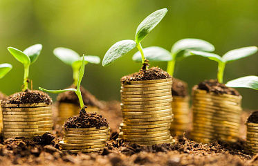 Investment fund assets are shrinking