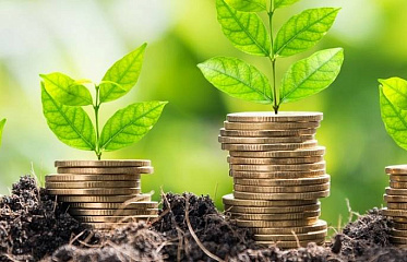 На Кипре продолжает расти количество инвестиционных организаций