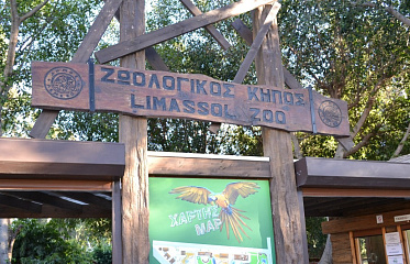 Зоопарк Лимассола превратят в Центр биоразнообразия