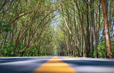 Thanks to Reconstruction, Park in Lakatamia to Be Capital's Pearl