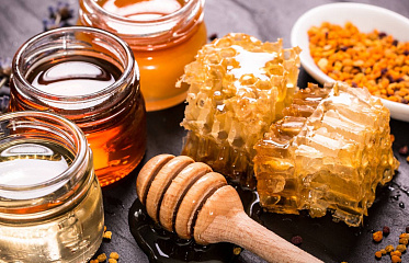 Apianthos Beekeeping Center: new apiary in Cyprus