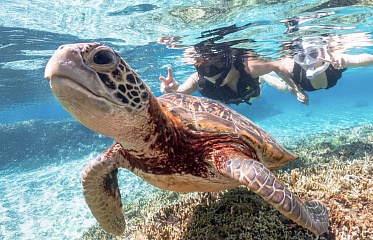 Снорклинг на Кипре: лучшие бухты, подводные маршруты и советы для отдыха