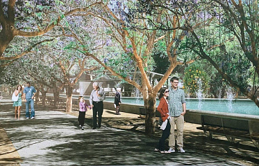 В Ларнаке началось строительство парка «Салина»