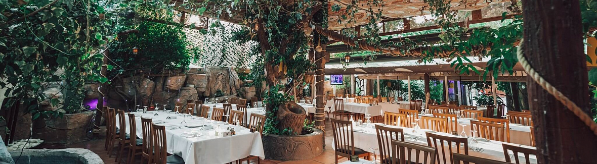 7 восхитительных заведений в Никосии, где вегетарианец будет сыт и счастлив