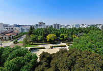 Фото 32