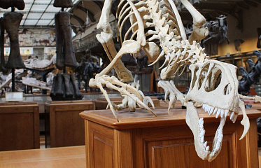 Construction of First Center of Geology and Paleontology Nearing Completion in Cyprus