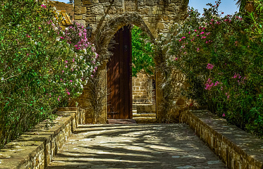 Кипрский сад без драм: что посадить, чтобы оно не засохло к июлю