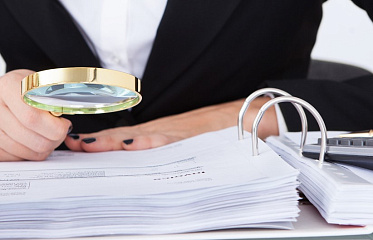 Audit Office Checking Foreigners Who Received Golden Passports