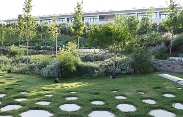 Кипр потратил 55 млн евро на создание парков по всей стране