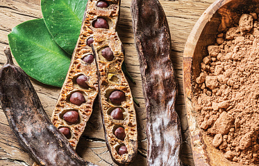 На Кипре появится фабрика по производству продуктов из рожкового дерева