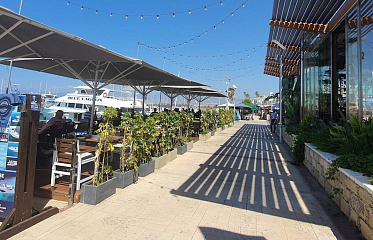 Полис кардинально преобразится