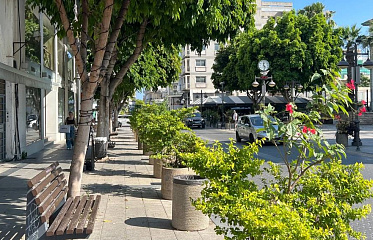 Улица Анексартисиас в Лимассоле станет пешеходной