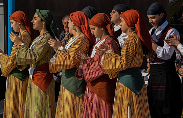 Mukhtars in Larnaca