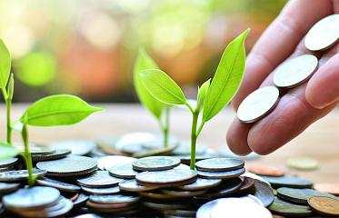 In Cyprus, investment fund assets have decreased