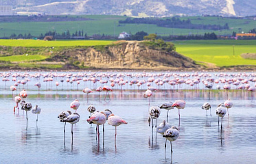 Parayialia Hotel: New Hotel in Larnaca Near Salt Lake