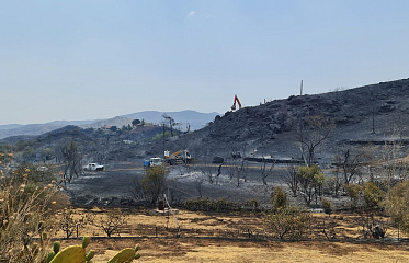 About 80 Houses Burned Down in Cyprus