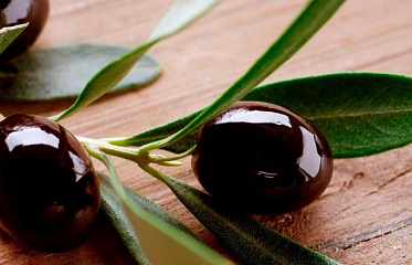 A Unique Theme Park to Be Built in Cyprus