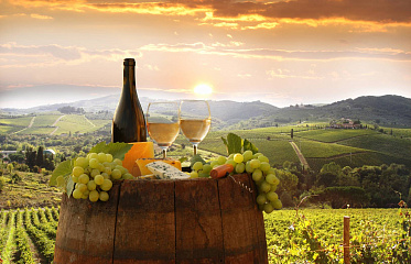 В районе Лимассола появится новая винодельня