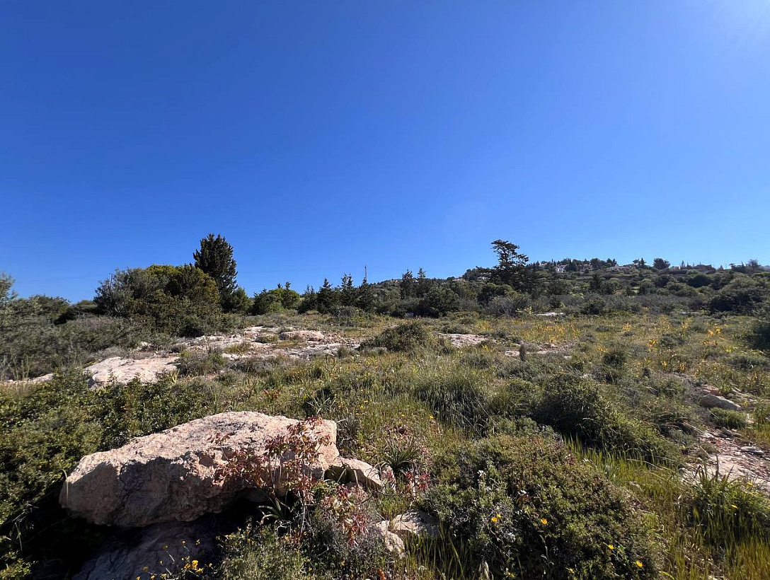 Land in Paphos
