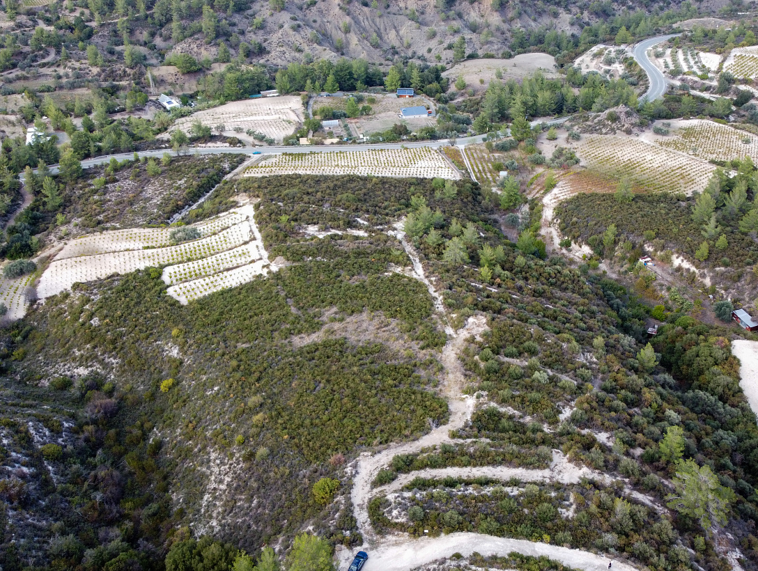 Земля в Лимассоле