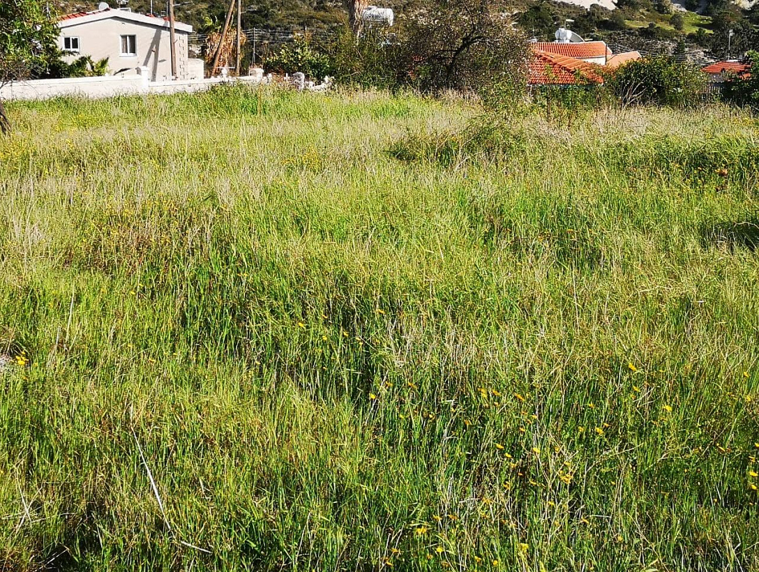 Land in Limassol
