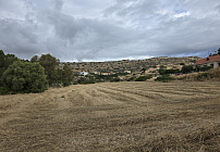 Фото 8