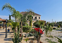 Photo 42