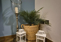 Photo 33