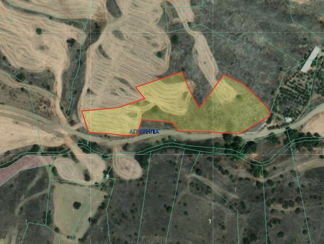 Земля в Никосии