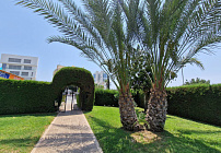 Photo 44