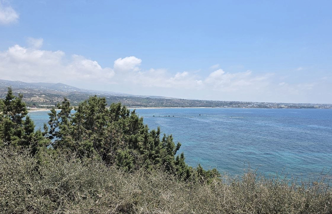 Photo 25