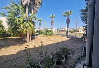 Фото 64