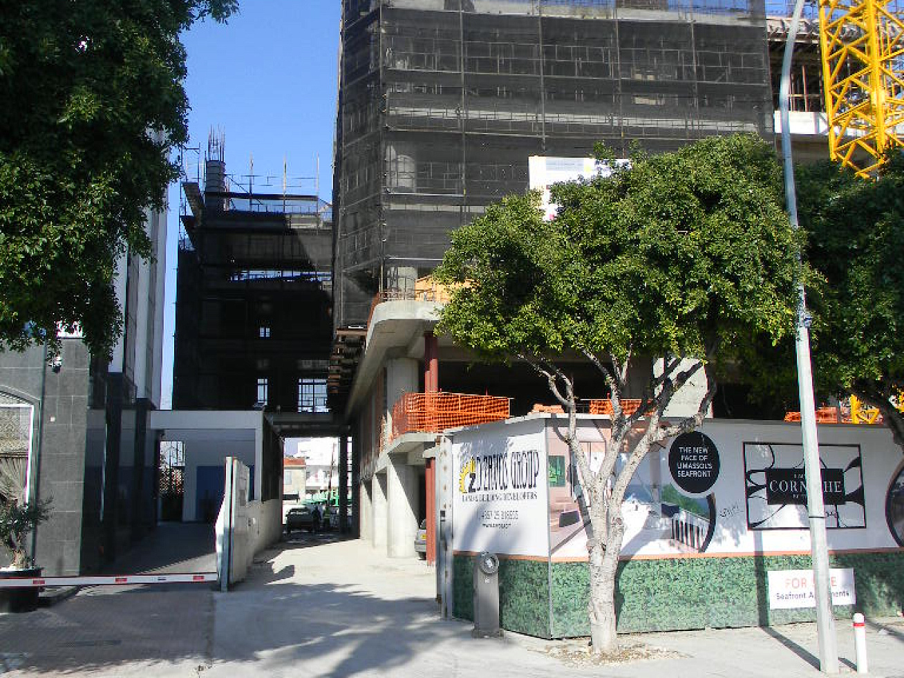 Photo 11