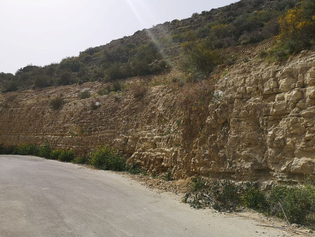 Land in Limassol