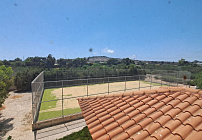 Photo 44