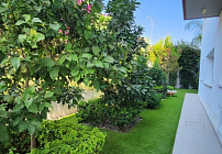 Photo 28