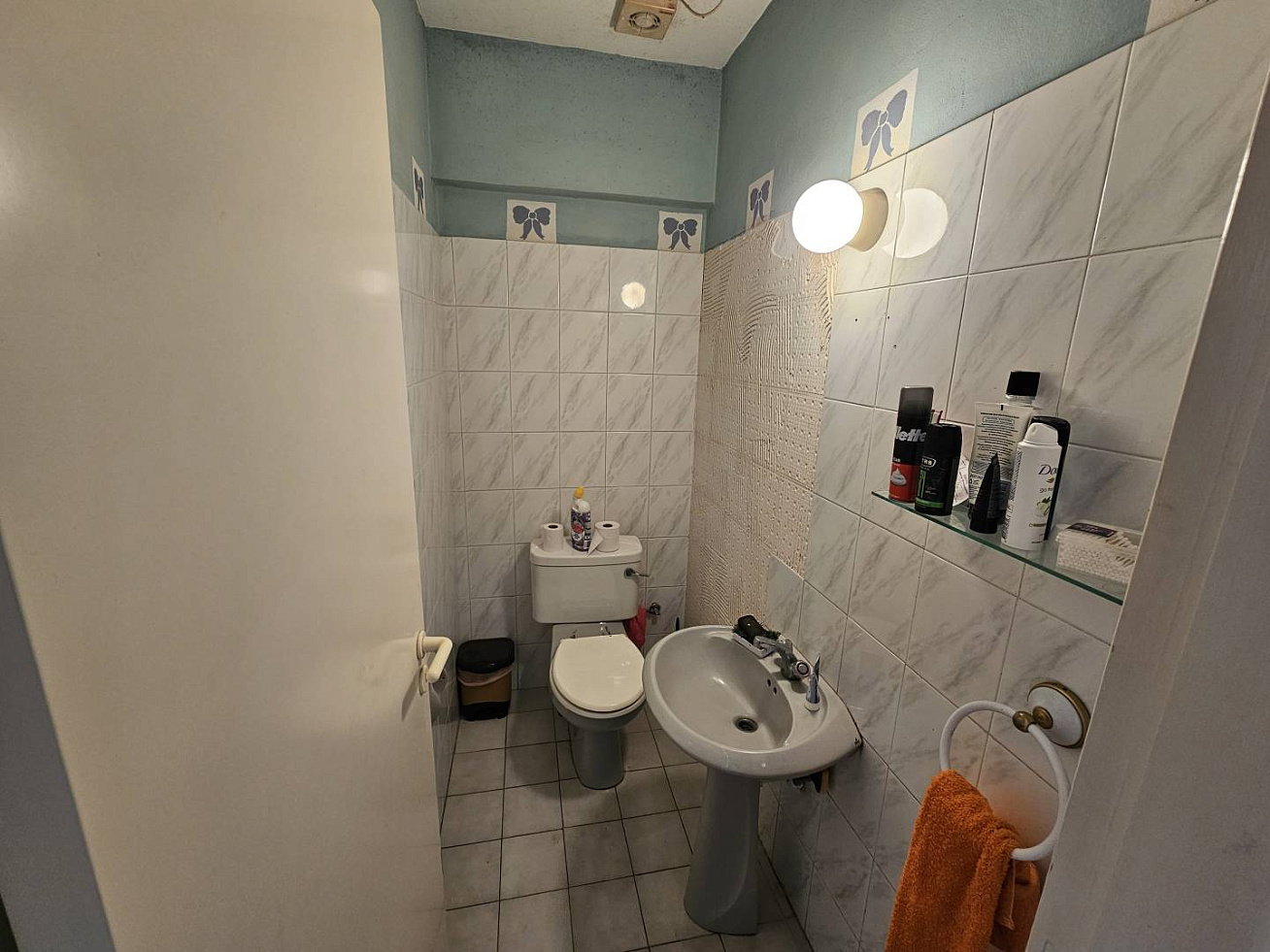 Photo 12