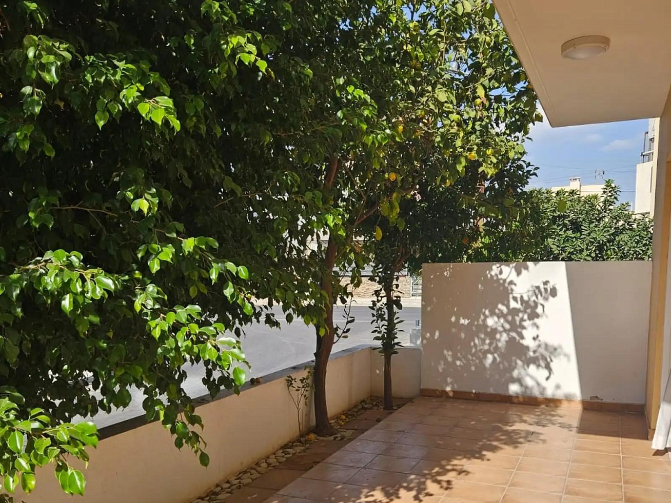 Фото 4
