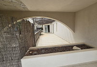 Photo 51
