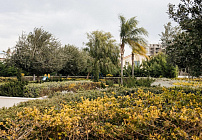 Photo 45