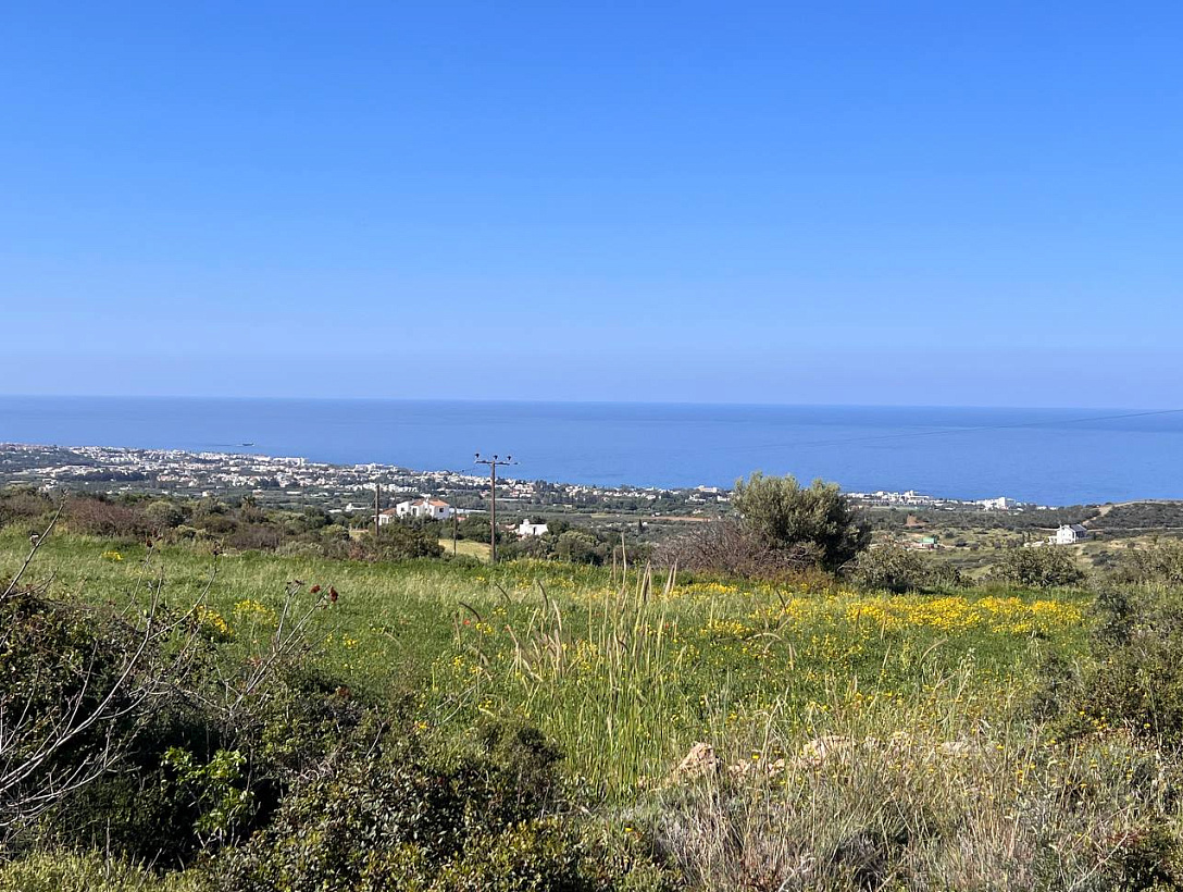 Land in Paphos