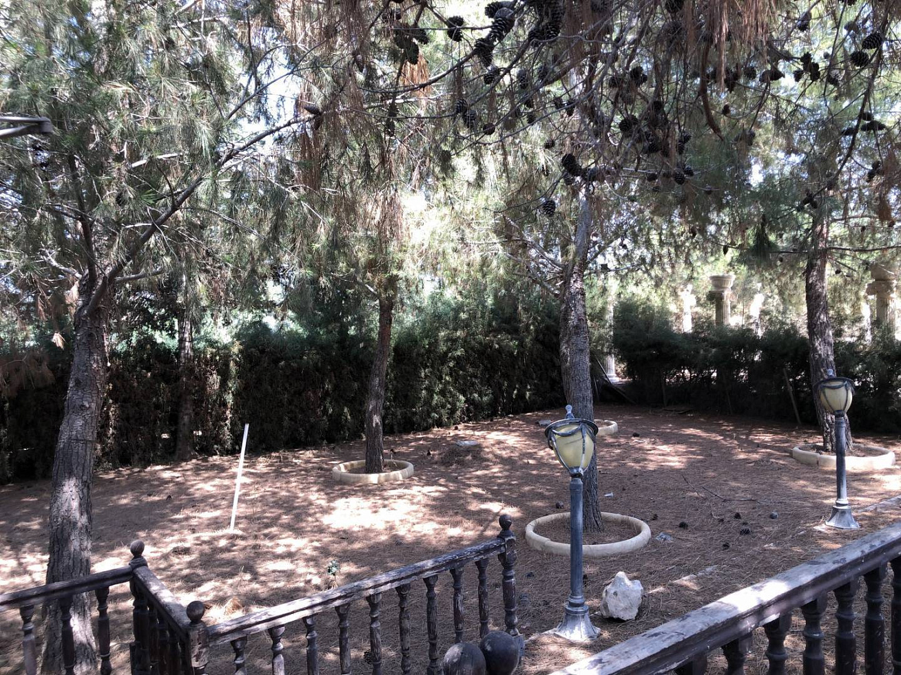 Photo 36