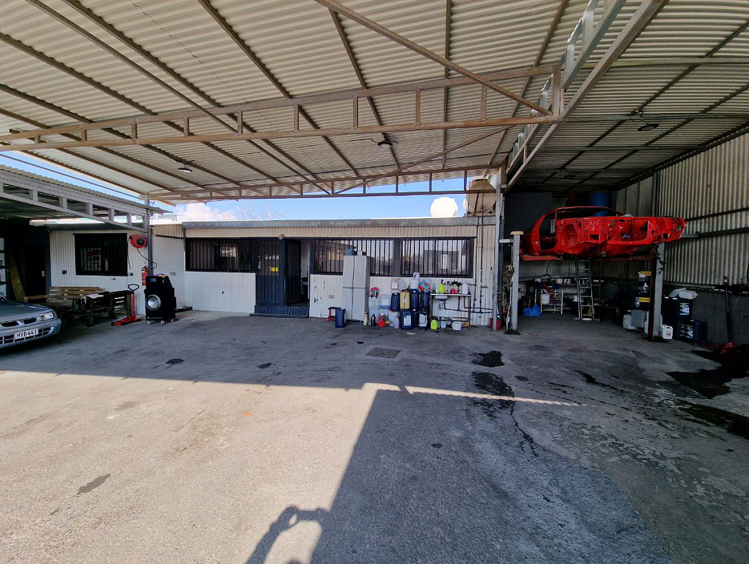 Business in Limassol