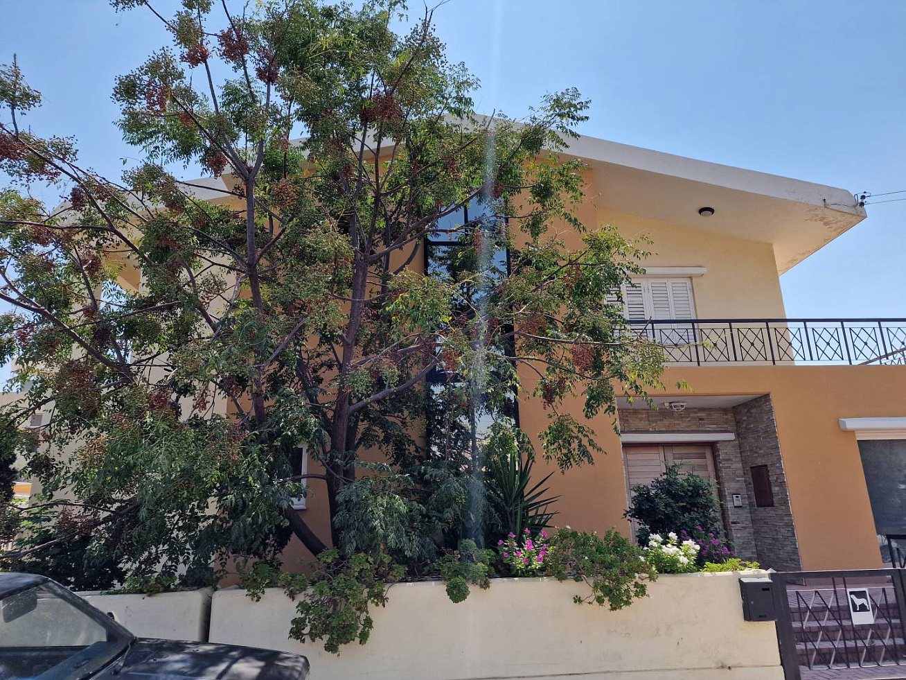 Photo 19