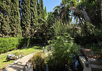 Photo 31
