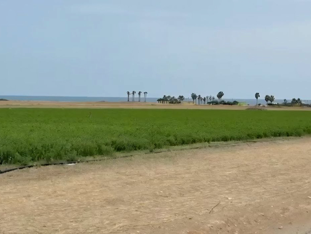 Земля в Ларнаке