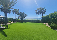 Фото 80 Фото 80