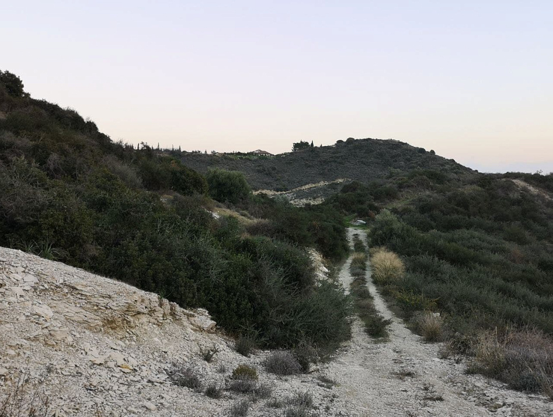 Land in Limassol