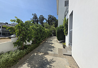 Фото 48