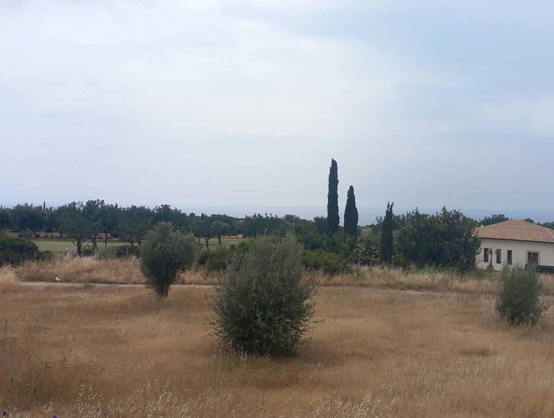Land in Paphos
